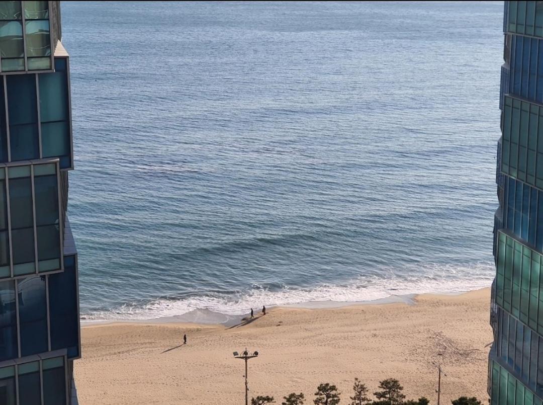 Haeundae Lavender House-Irua Hotel Busan Exterior foto